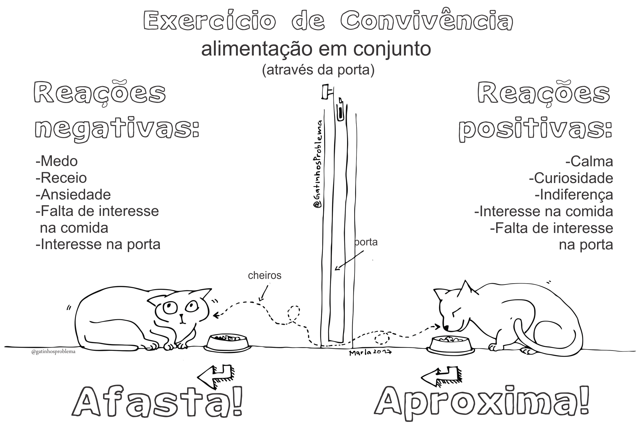 Introdução-Reintrodução-e-adaptação-de-gatos-POST Ilustração 3