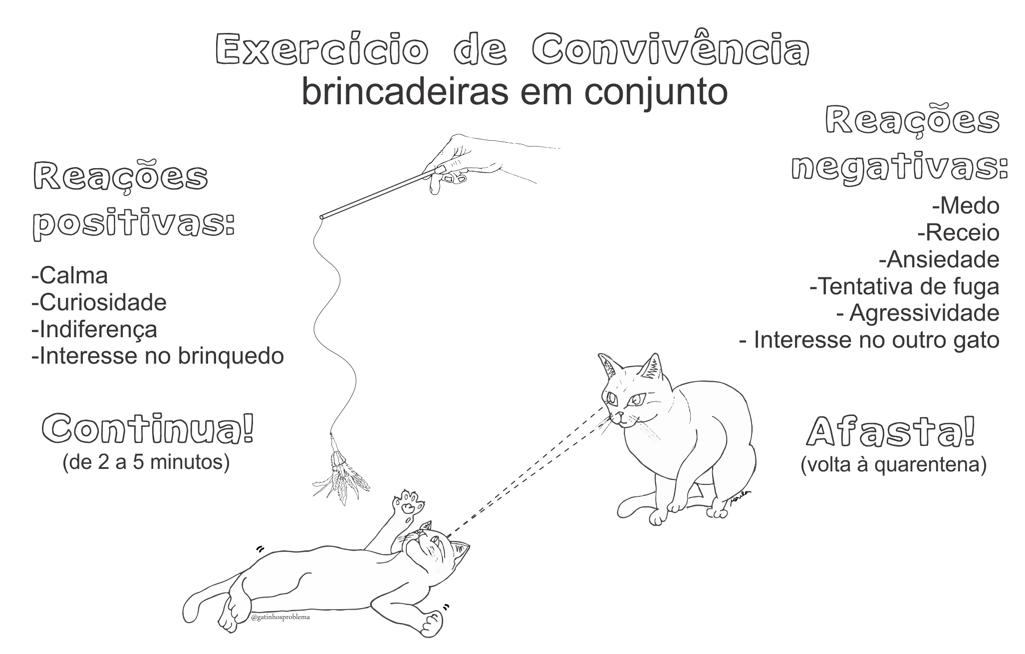 Introdução-Reintrodução-e-adaptação-de-gatos-POST Ilustração 4